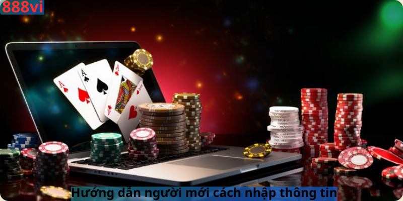 Hướng dẫn người mới cách nhập thông tin