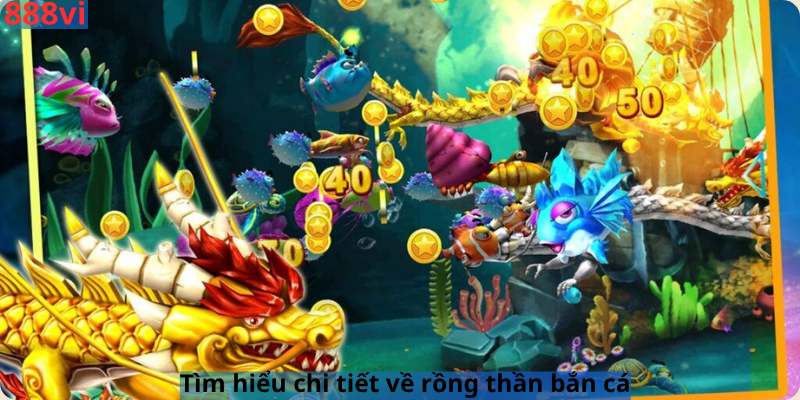 Tìm hiểu chi tiết về rồng thần bắn cá