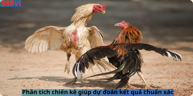 Phân tích chiến kê giúp dự đoán kết quả chuẩn xác