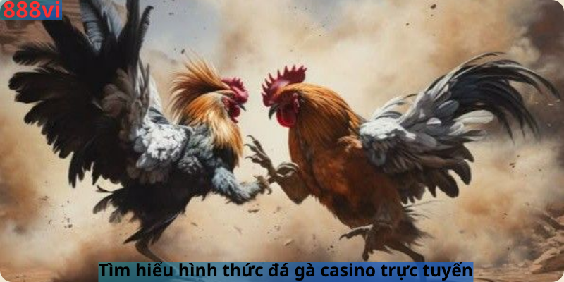 Tìm hiểu hình thức đá gà casino trực tuyến