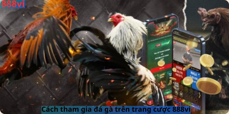 Cách tham gia đá gà trên trang cược 888vi