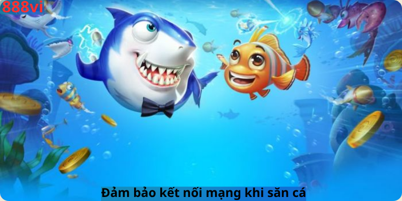 Đảm bảo kết nối mạng khi săn cá